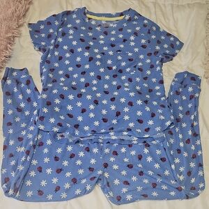 Blue Ladybug & Daisy Pajama Set
